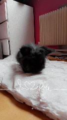 Usha