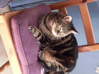 Photo de Mimi