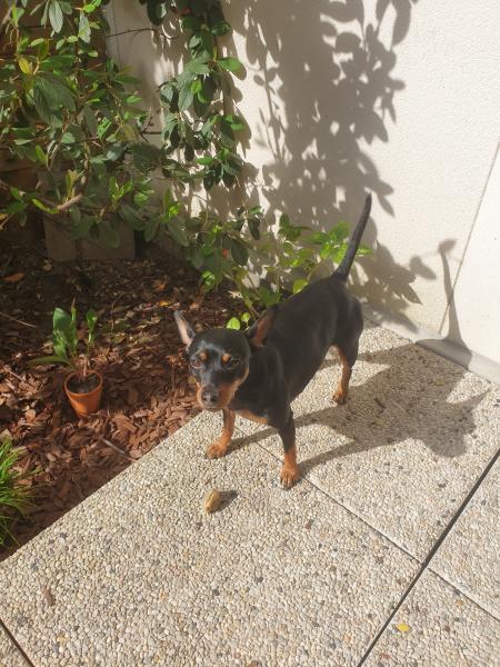 Photo de Nala