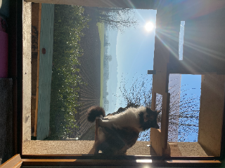 Photo de MILKA