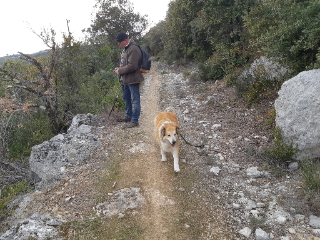 Photo de Louna