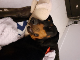 NAYLA