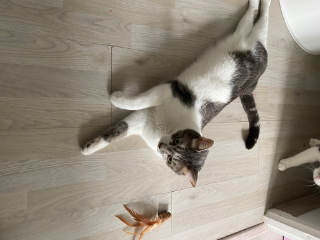 Photo de Pixel