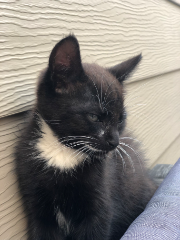 Photo de Figaro