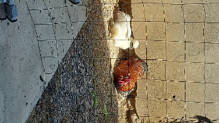Photo de Titche