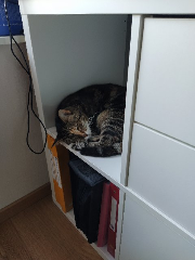 Quincy