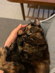Photo de Mimi