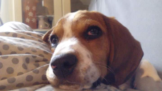 Photo de Titou