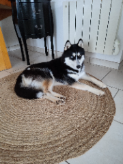 Photo de Widow