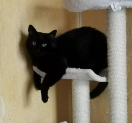 Photo de Mali