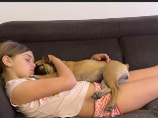 Photo de Tippy