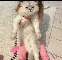 Photo de Olaf