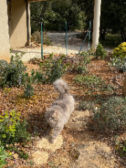 Photo de Mia