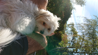 Photo de JOY