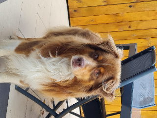 Photo de Helios