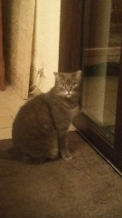 Photo de Félix