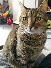 Mimi