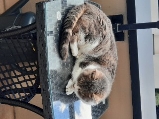 Photo de MIMI