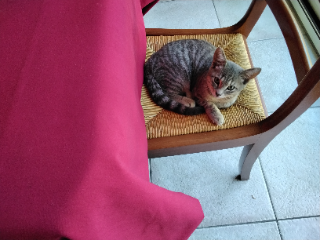 Olympe