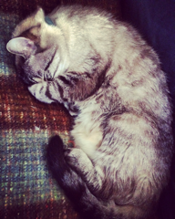 Photo de Hugo