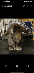 Twix