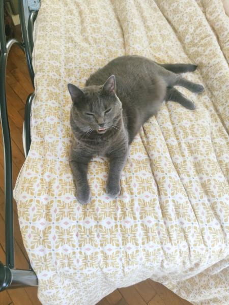 Milo