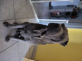 Photo de Galdor