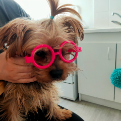 Doudou