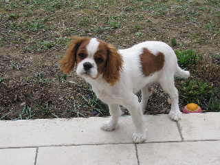 Photo de Shana