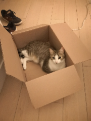 Kili