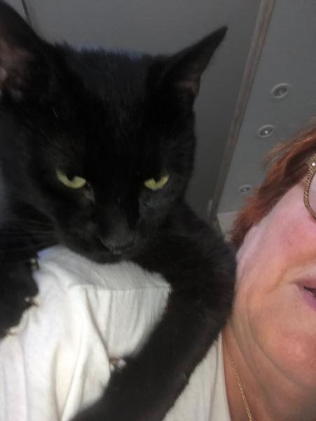 Photo de Zorro
