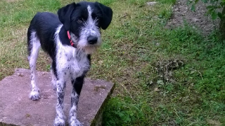 Photo de Nelka