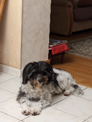 Photo de Cannelle