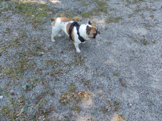 Photo de Pepito