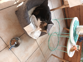Photo de Minette