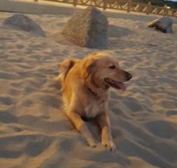 Photo de INDY