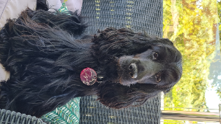 SUZIE
