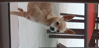 Photo de Lilou