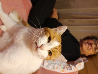 Photo de Chatouille