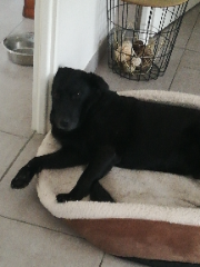 Photo de Max