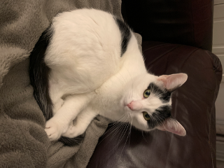 Max