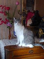 Photo de Canaille