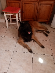 Photo de Malone