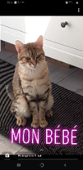 Photo de Rajah