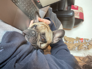 Pixel