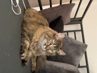 Jeska
