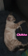 Photo de Chihiro