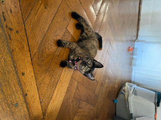 Photo de Meki
