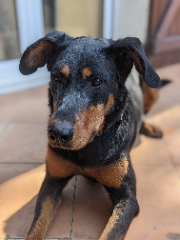 Photo de Sika