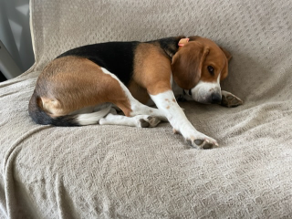 Photo de Rio
